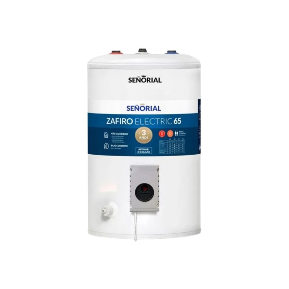 TERMO ELECTRICO C/SUP  65LTS SEÑORIAL